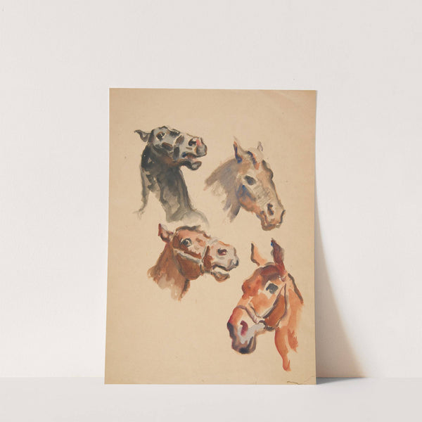 Studia łbów końskich by Ivan Ivanec