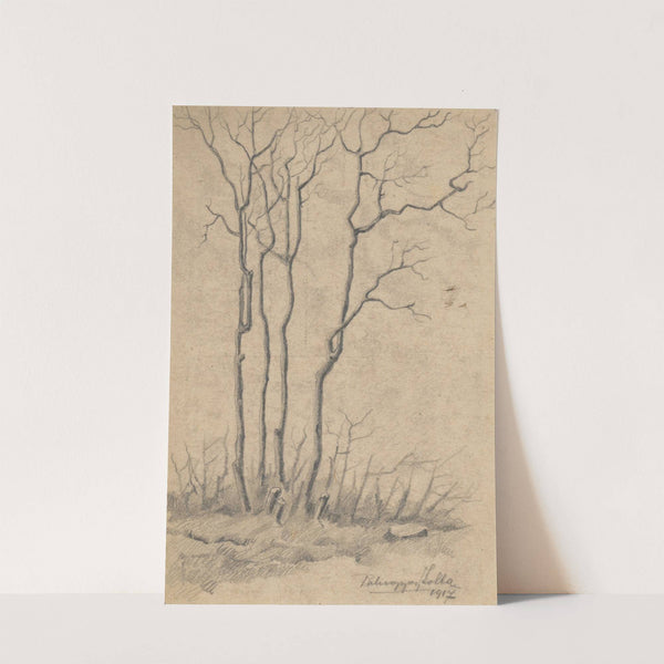 Štúdia stromov by Zolo Palugyay