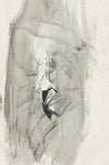 Studie