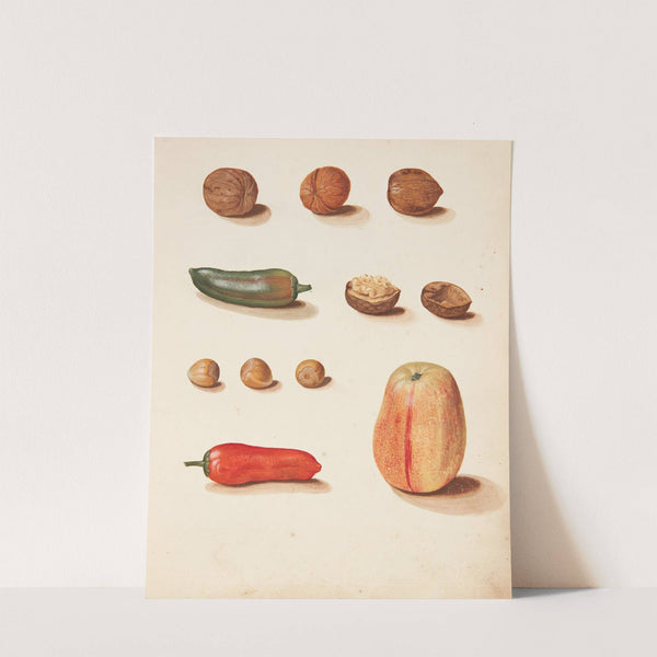 Studie af æble, nødder og peberfrugter by Johanna Fosie