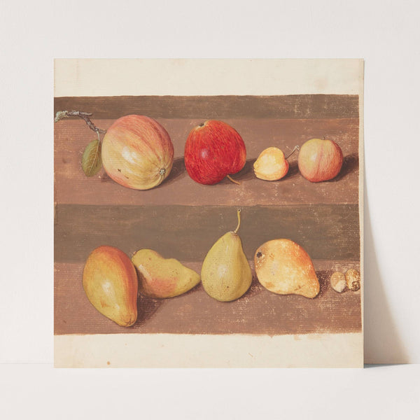 Studie af æbler og pærer (1747) by Johanna Fosie