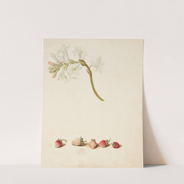 Studie af blomst og jordbær by Johanna Fosie