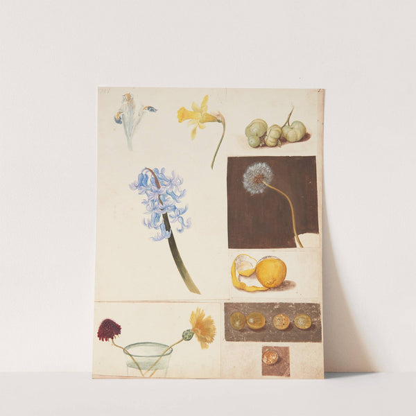 Studie af blomster, frugter og grønne tomater by Johanna Fosie