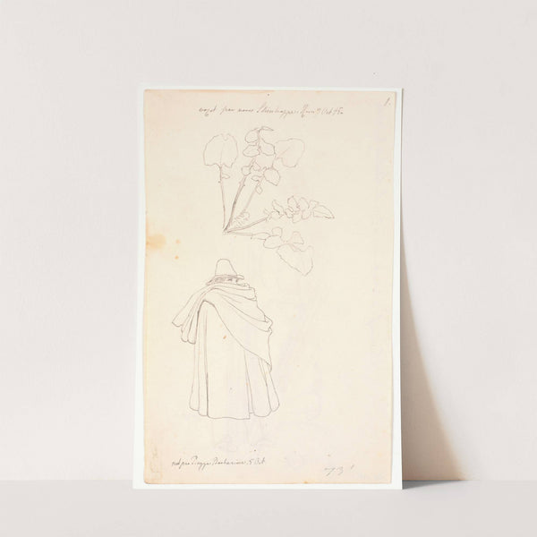 Studie af en løvetandsplante og italiener hyllet i sin kappe by Johan Thomas Lundbye