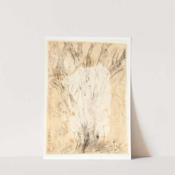 Studie af et træ og blomster by Ciro Ferri