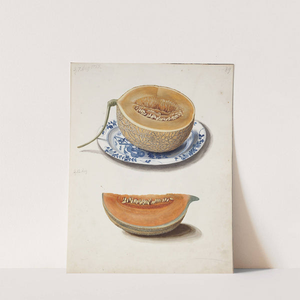 Studie Af To Netmeloner, Halveret Og Kvadreret by Johanna Fosie