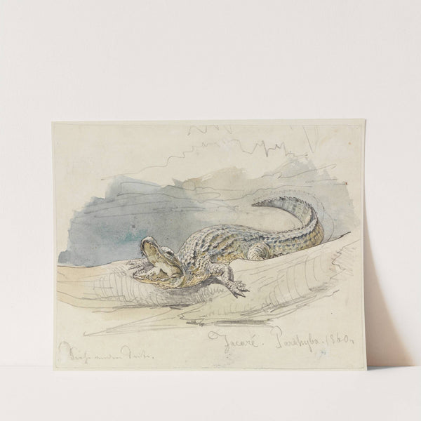 Studie eines Alligators (1860) by Ferdinand Keller