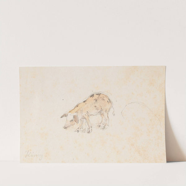 Studie eines Ferkels by Franz Niklaus König