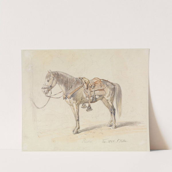 Studie eines gesattelten Pferdes (1860) by Ferdinand Keller