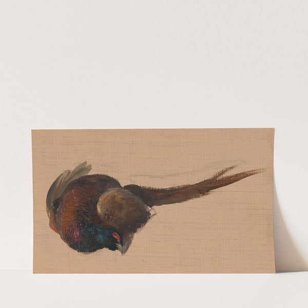 Studie eines toten Fasanes (around 1840–1850) by Johann Matthias Ranftl