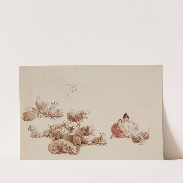 Studie mit Schafen und einer Frau mit ihrem Kind by Adrian Zingg