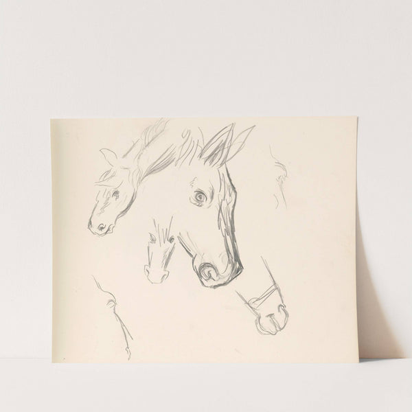 Štúdie pasúcich sa koní by Ján Novák