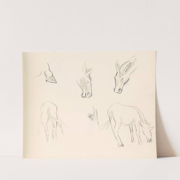 Štúdie pasúcich sa koní by Ján Novák