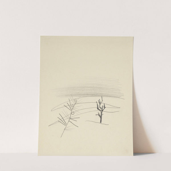 Štúdie stromov by Mikuláš Galanda