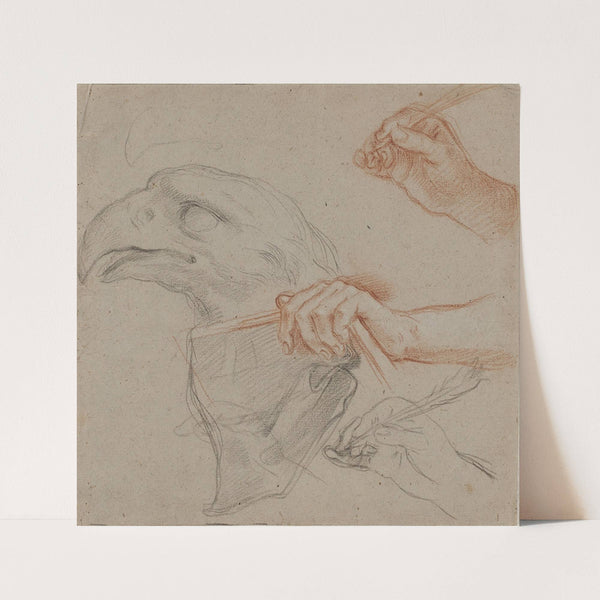 Studie til et ørnehoved samt tre studier af hænder, hvoraf to holder en fjerpen og en holder en bog by Carlo Maratti