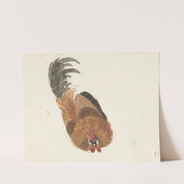 Studie van een dode haan (1720 - 1792) by Aert Schouman