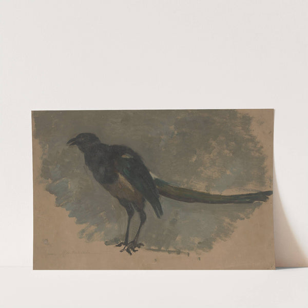 Studie van een ekster (1852) by August Allebé