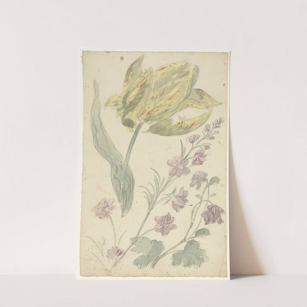 Studie van een gele tulp en een andere plant by Elias van Nijmegen