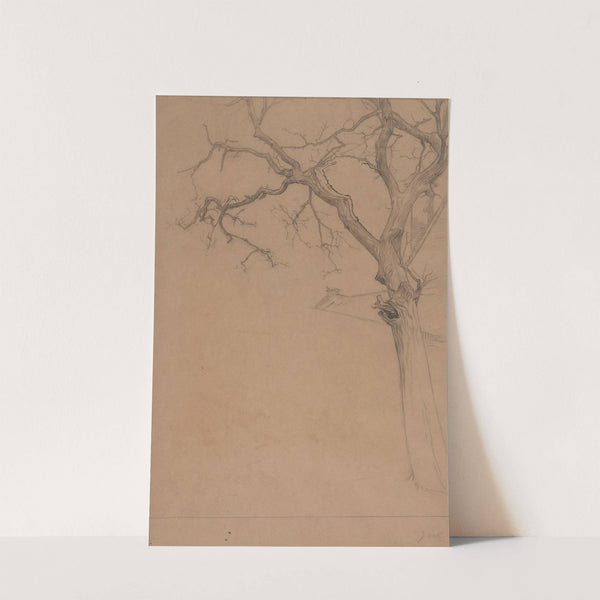 Studie van een kale boom by Jan Veth