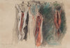 Studie vyvržených vepřů (1904)