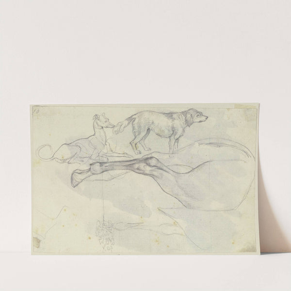 Studie zu einem Pferdeschenkel und zwei Hunden by August Lucas