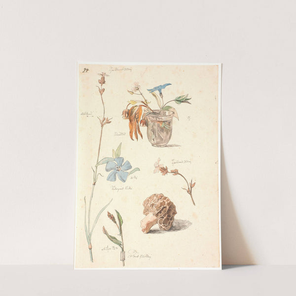 Studieblad med blomster og planter by Johan Thomas Lundbye