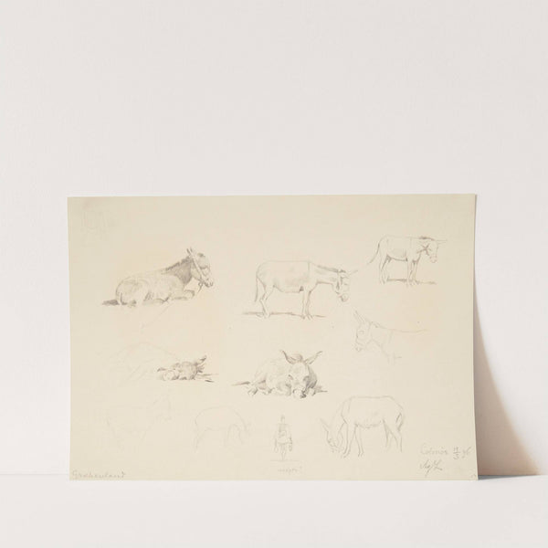 Studieblad med dyr by Agnes Lunn