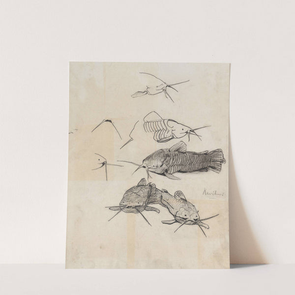 Studieblad met meervallen by Theo Nieuwenhuis