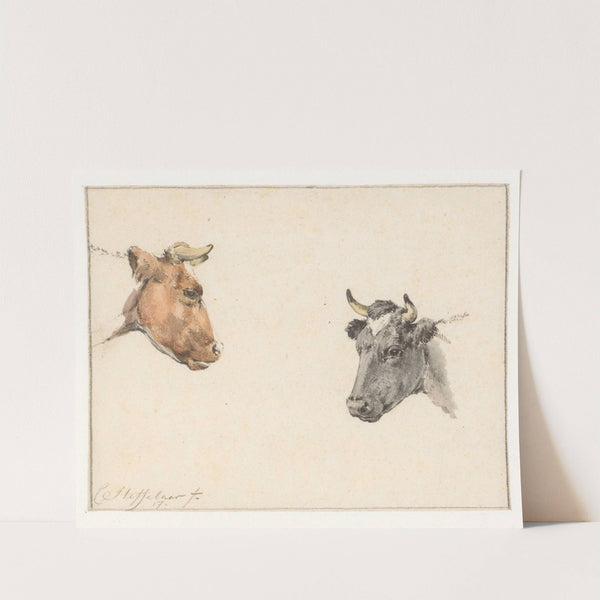 Studieblad met twee koeienkoppen by Cornelis Steffelaar