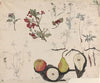 Studieblad met vruchten, planten en bloemen
