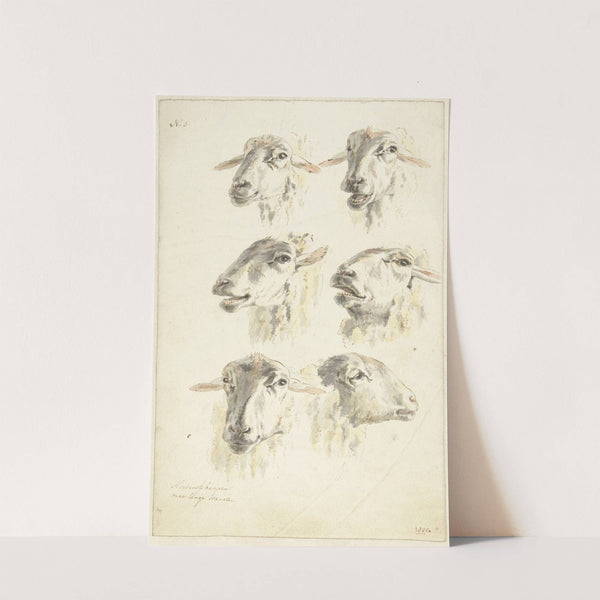 Studieblad met zes schaapskoppen by Franciscus Andreas Milatz