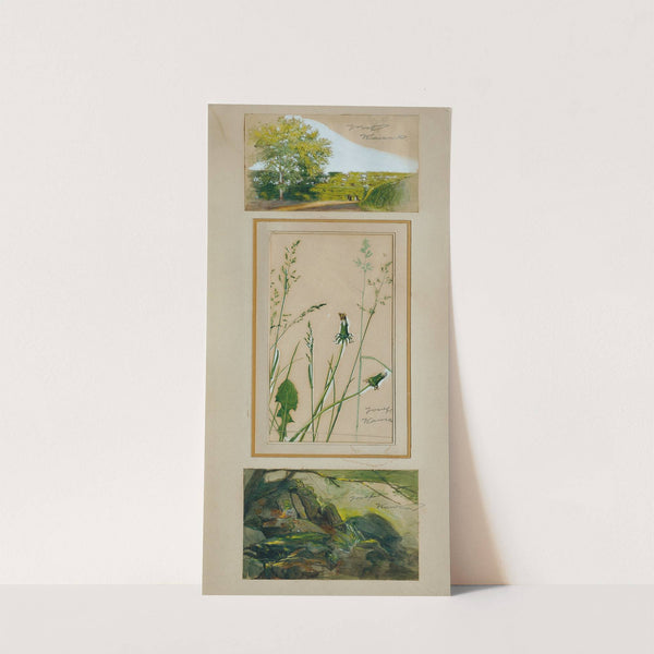 Studien nach der Natur by Josef Wawra