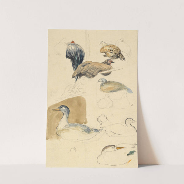 Studien von Enten und Hühnern (1894) by Josef Engelhart