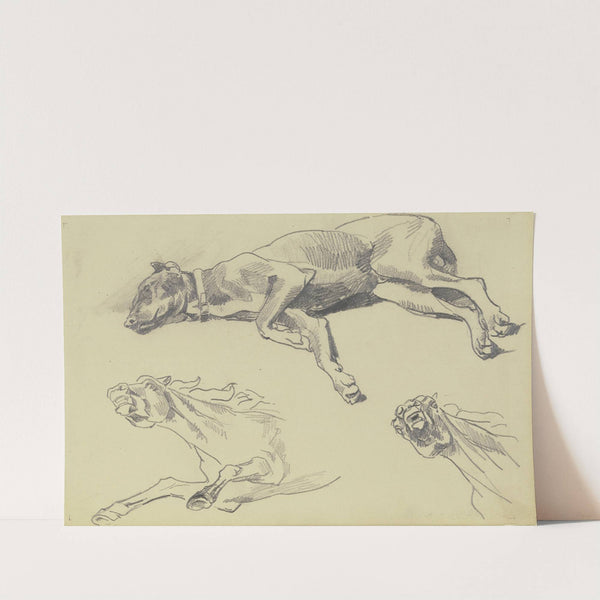 Studienblatt; Die Dogge Cäsar, auf der Seite liegend nach links, schlafend; darunter zwei Pferdestudien in starker Untersicht by Wilhelm Trübner