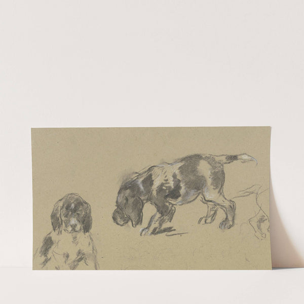 Studienblatt; Junge Jagdhunde by Anton Burger