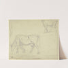 Studienblatt; Kuh und Schaf by Peter Burnitz