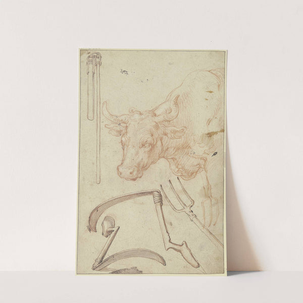 Studienblatt; Landwirtschaftliche Geräte und ein Stierkopf by Abraham Bloemaert