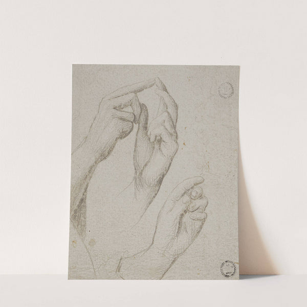 Studienblatt mit drei Händen by Hans Holbein The Elder