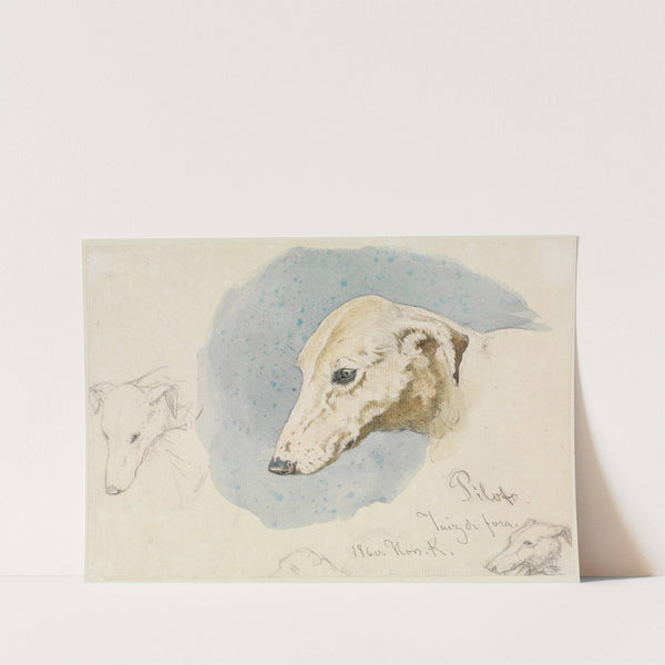 Studienblatt mit Hundeköpfen (1860) by Ferdinand Keller