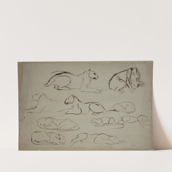 Studienblatt mit Löwen und Tigern (ca. 1826 – 1828) by Eugène Delacroix