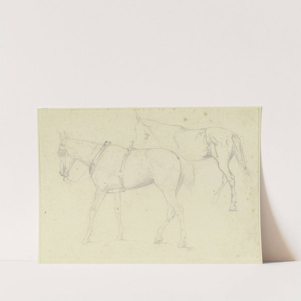Studienblatt; zwei Kutschpferde by Teutwart Schmitson