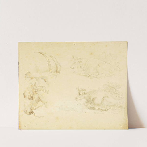 Studies – 2 cows, horse by William Page