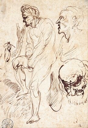 Studies after the Model
