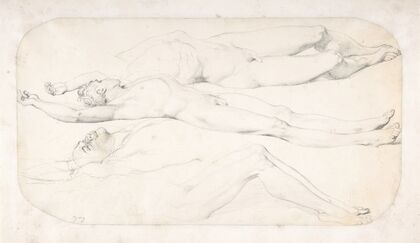Studies for the Cadaver of Acron