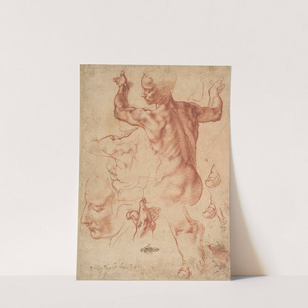 Studies for the Libyan Sibyl by Michelangelo