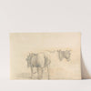 Studies from Nature (two horses) by William Brockedon