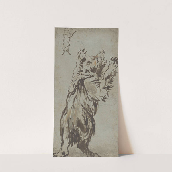 Studies of a Bear by Leonaert Bramer