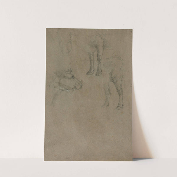 Studies of a Bull (1864) by Johan Barthold Jongkind