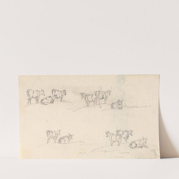 Studies of a Cattle by Sawrey Gilpin