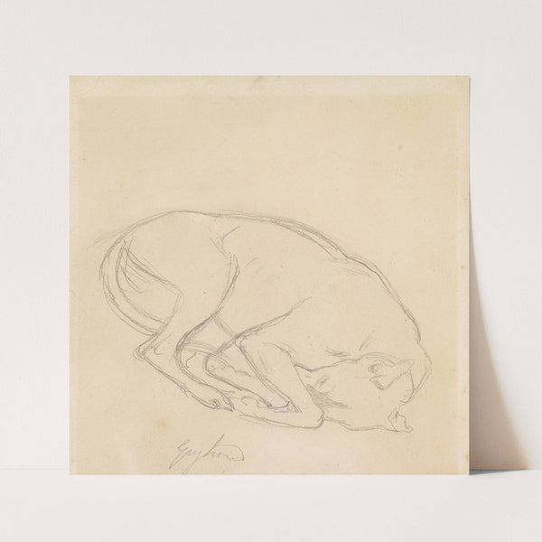Studies of a chin, a sleeping dog, annotated ‘greyhound’ (1849) by Sir John Everett Millais